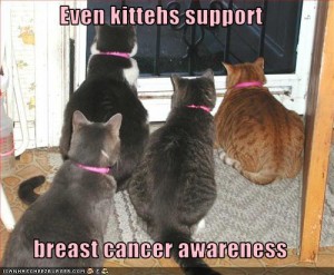 Even kittehs support breast cancer awareness!
